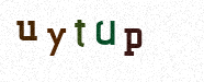 Visual Confirmation Security Code